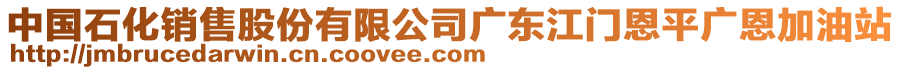 中國(guó)石化銷售股份有限公司廣東江門恩平廣恩加油站