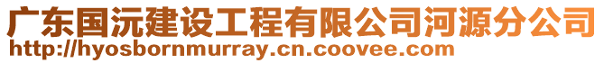 廣東國(guó)沅建設(shè)工程有限公司河源分公司