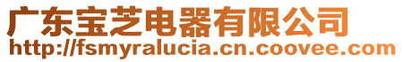 廣東寶芝電器有限公司