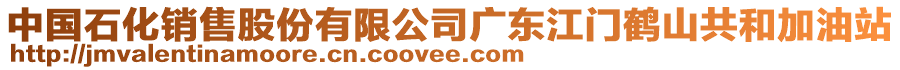 中國石化銷售股份有限公司廣東江門鶴山共和加油站