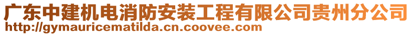 廣東中建機(jī)電消防安裝工程有限公司貴州分公司