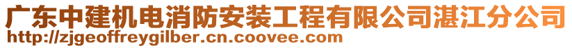 廣東中建機電消防安裝工程有限公司湛江分公司