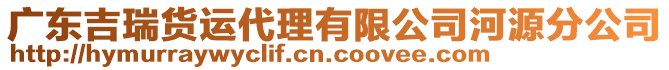 廣東吉瑞貨運(yùn)代理有限公司河源分公司