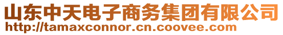 山東中天電子商務(wù)集團(tuán)有限公司