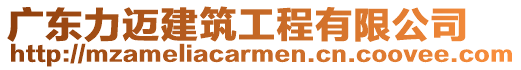 廣東力邁建筑工程有限公司