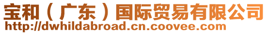 寶和(廣東)國際貿易有限公司