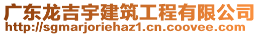 廣東龍吉宇建筑工程有限公司