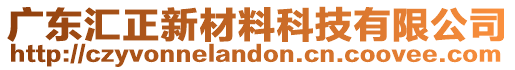 廣東匯正新材料科技有限公司