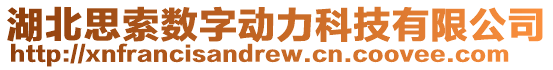 湖北思索數(shù)字動(dòng)力科技有限公司