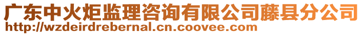 廣東中火炬監(jiān)理咨詢有限公司藤縣分公司