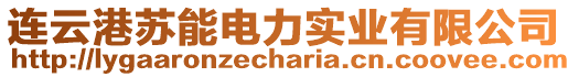 連云港蘇能電力實業(yè)有限公司