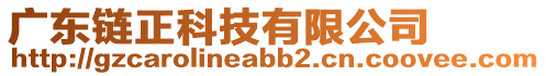 廣東鏈正科技有限公司