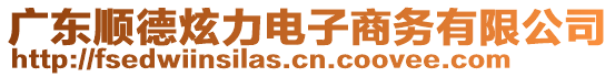 廣東順德炫力電子商務有限公司