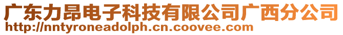 廣東力昂電子科技有限公司廣西分公司