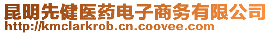 昆明先健醫(yī)藥電子商務有限公司