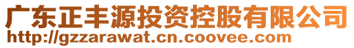 廣東正豐源投資控股有限公司