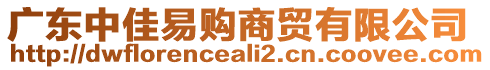 廣東中佳易購(gòu)商貿(mào)有限公司