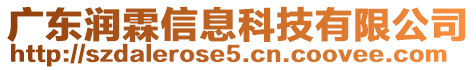 廣東潤霖信息科技有限公司