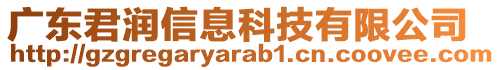 廣東君潤信息科技有限公司