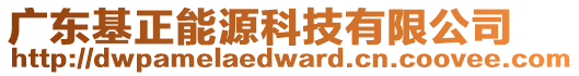 廣東基正能源科技有限公司