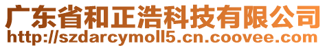 廣東省和正浩科技有限公司