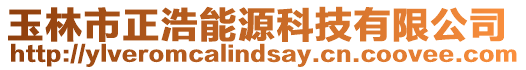玉林市正浩能源科技有限公司