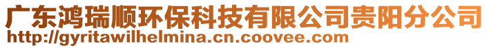 广东鸿瑞顺环保科技有限公司贵阳分公司