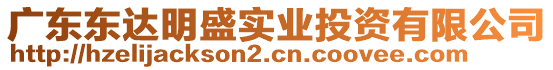 廣東東達明盛實業(yè)投資有限公司