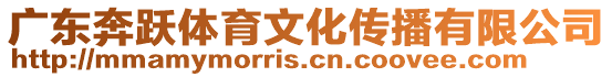 廣東奔躍體育文化傳播有限公司