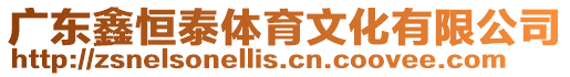 廣東鑫恒泰體育文化有限公司