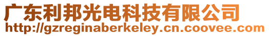 廣東利邦光電科技有限公司