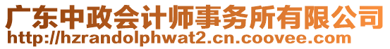 廣東中政會計師事務所有限公司