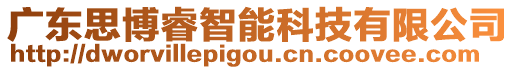 廣東思博睿智能科技有限公司