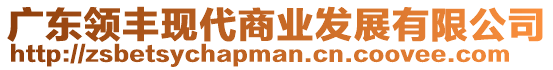 廣東領(lǐng)豐現(xiàn)代商業(yè)發(fā)展有限公司