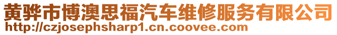 黃驊市博澳思福汽車維修服務(wù)有限公司