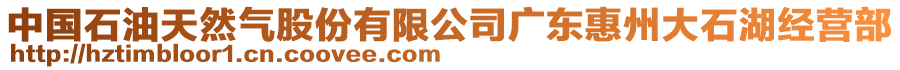 中國(guó)石油天然氣股份有限公司廣東惠州大石湖經(jīng)營(yíng)部