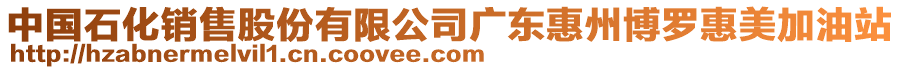 中國(guó)石化銷售股份有限公司廣東惠州博羅惠美加油站