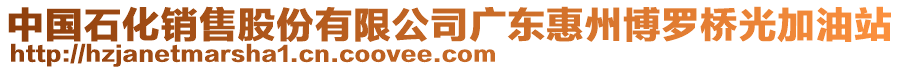 中國石化銷售股份有限公司廣東惠州博羅橋光加油站