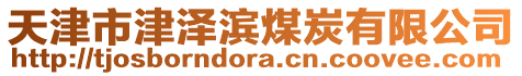 天津市津澤濱煤炭有限公司