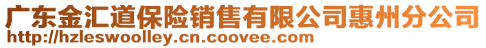 廣東金匯道保險銷售有限公司惠州分公司