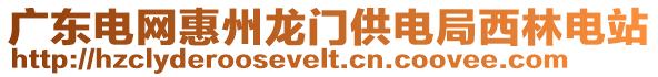 廣東電網(wǎng)惠州龍門(mén)供電局西林電站