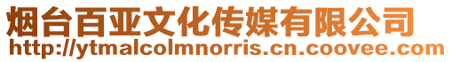 煙臺百亞文化傳媒有限公司