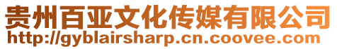貴州百亞文化傳媒有限公司