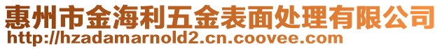 惠州市金海利五金表面處理有限公司