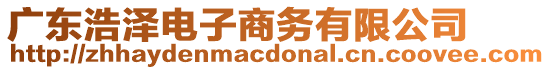 廣東浩澤電子商務(wù)有限公司