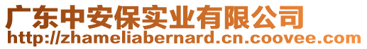 廣東中安保實(shí)業(yè)有限公司