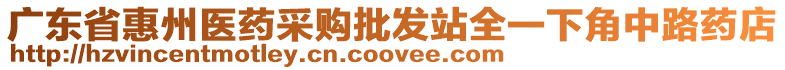 廣東省惠州醫(yī)藥采購批發(fā)站全一下角中路藥店