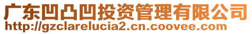 廣東凹凸凹投資管理有限公司