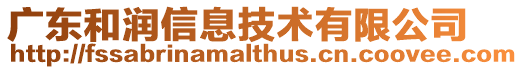 廣東和潤信息技術(shù)有限公司