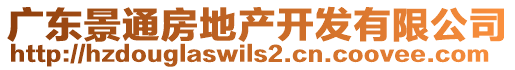 廣東景通房地產開發(fā)有限公司